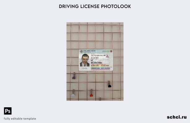цифровая загрузка Бангладеш DL версия шаблона Photolook FRONT 1